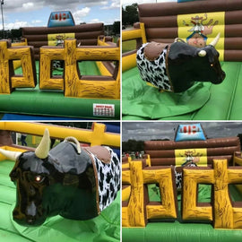 Rodeo Bull To Hire - Games2Hire